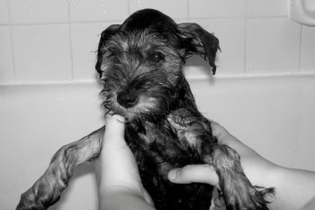 cprice64 profile photo