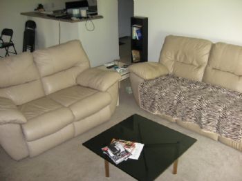 bomb447 profile photo