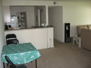 bomb447 profile photo