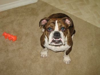 lanhamnk profile photo