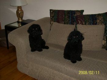 luv1lyfe1984 profile photo