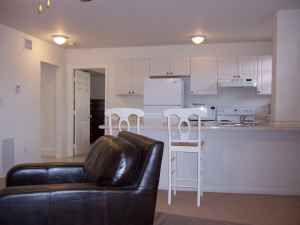 trutus profile photo