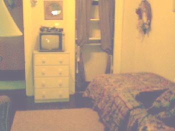 everafter3 profile photo