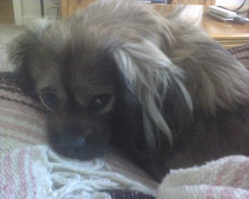 amberells profile photo