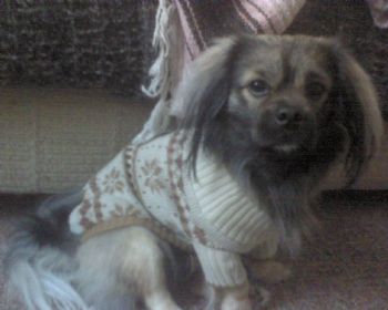 amberells profile photo