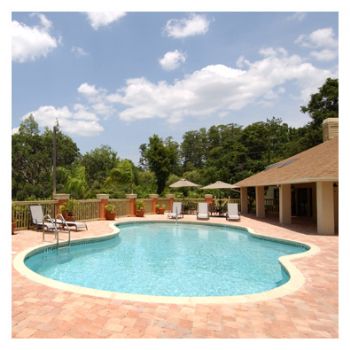 ericfllmt profile photo