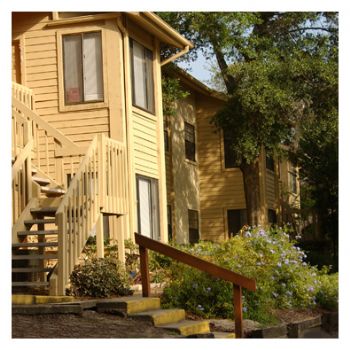 ericfllmt profile photo