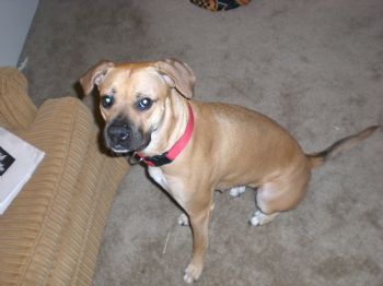 jenann83 profile photo