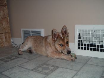 waukdan123 profile photo