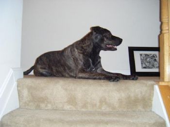 nicks03gls profile photo