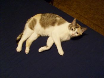 restlesssoul profile photo