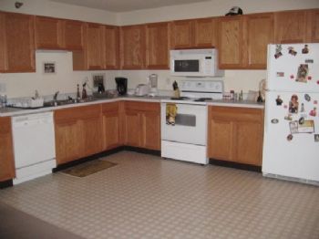 shanent profile photo