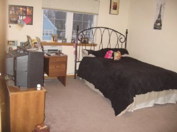 shanent profile photo