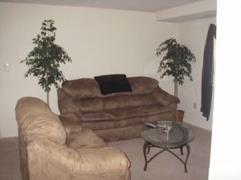 mr.stanford profile photo