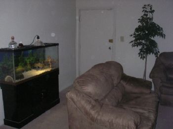 mr.stanford profile photo