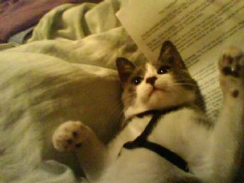 stacylee78 profile photo