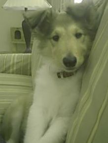 ncgirld profile photo
