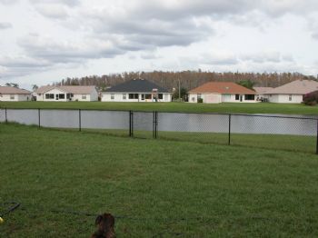 magoofus99 profile photo