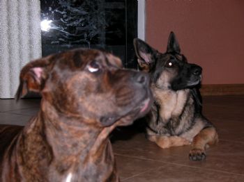 magoofus99 profile photo