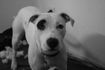 ladypearl profile photo