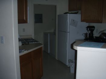 justcole profile photo