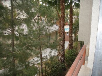 justcole profile photo