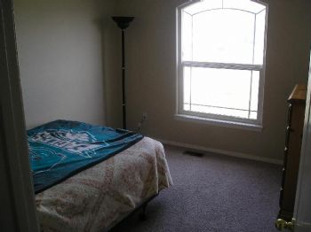 randyj profile photo