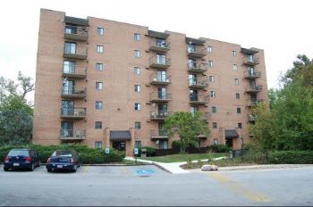 irish11827 profile photo