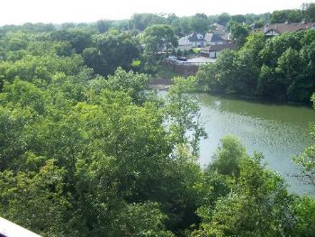 irish11827 profile photo