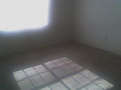 sended profile photo