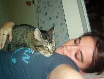 shortcaligrl profile photo