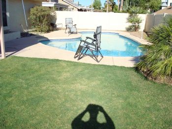 pavolpe profile photo