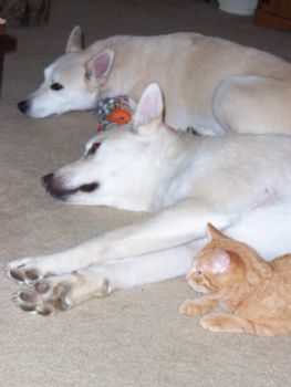 delta0582 profile photo