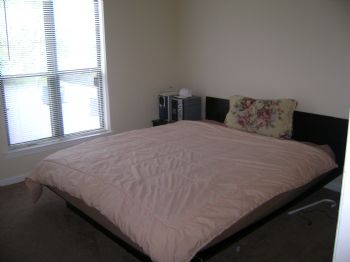 Lexis86 profile photo