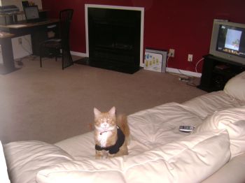 Lexis86 profile photo