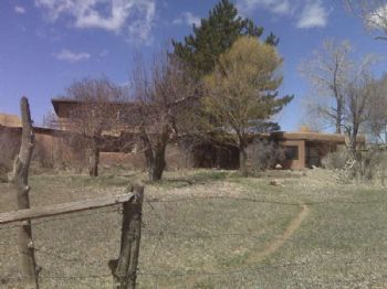 aflowerse profile photo