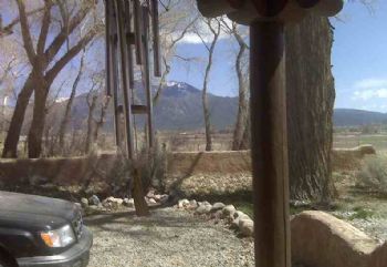 aflowerse profile photo