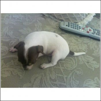 precious18 profile photo