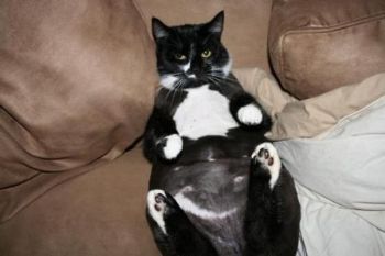 emelizashugh profile photo