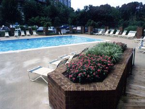 anng80 profile photo