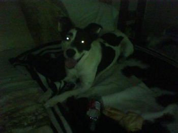 cheerkat21 profile photo