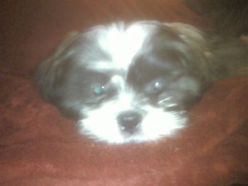 ladeebug81 profile photo