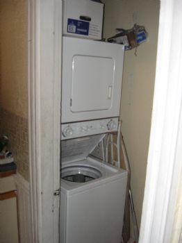 skyedragon profile photo