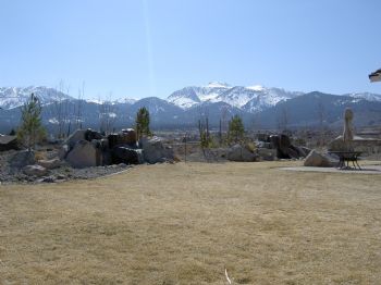 joewiz1 profile photo