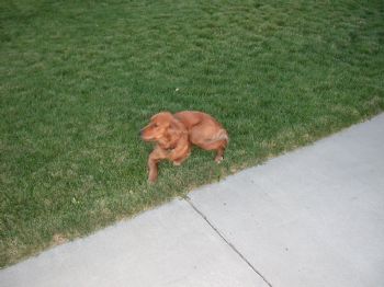 Montana1 profile photo