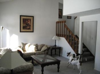 audidriver18 profile photo