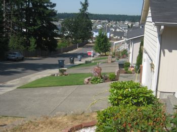 evenodds profile photo