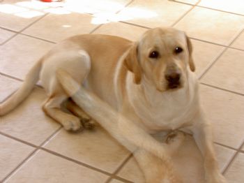 jaimemartell profile photo