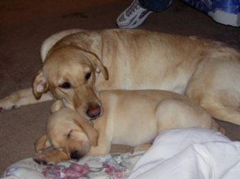 jaimemartell profile photo