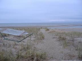 Beachhouse08 profile photo